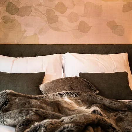 Chalet. Chalet Mühlbach am Hochkönig